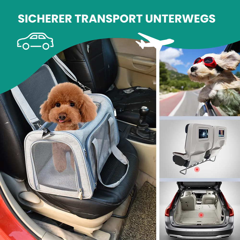 Tragetasche für Katzen & kleine Hunde – Sicher, komfortabel & flexibel unterwegs!