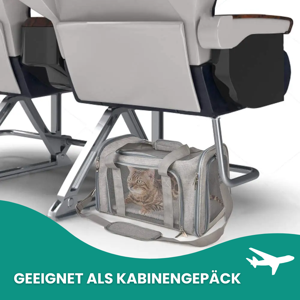 Tragetasche für Katzen & kleine Hunde – Sicher, komfortabel & flexibel unterwegs!