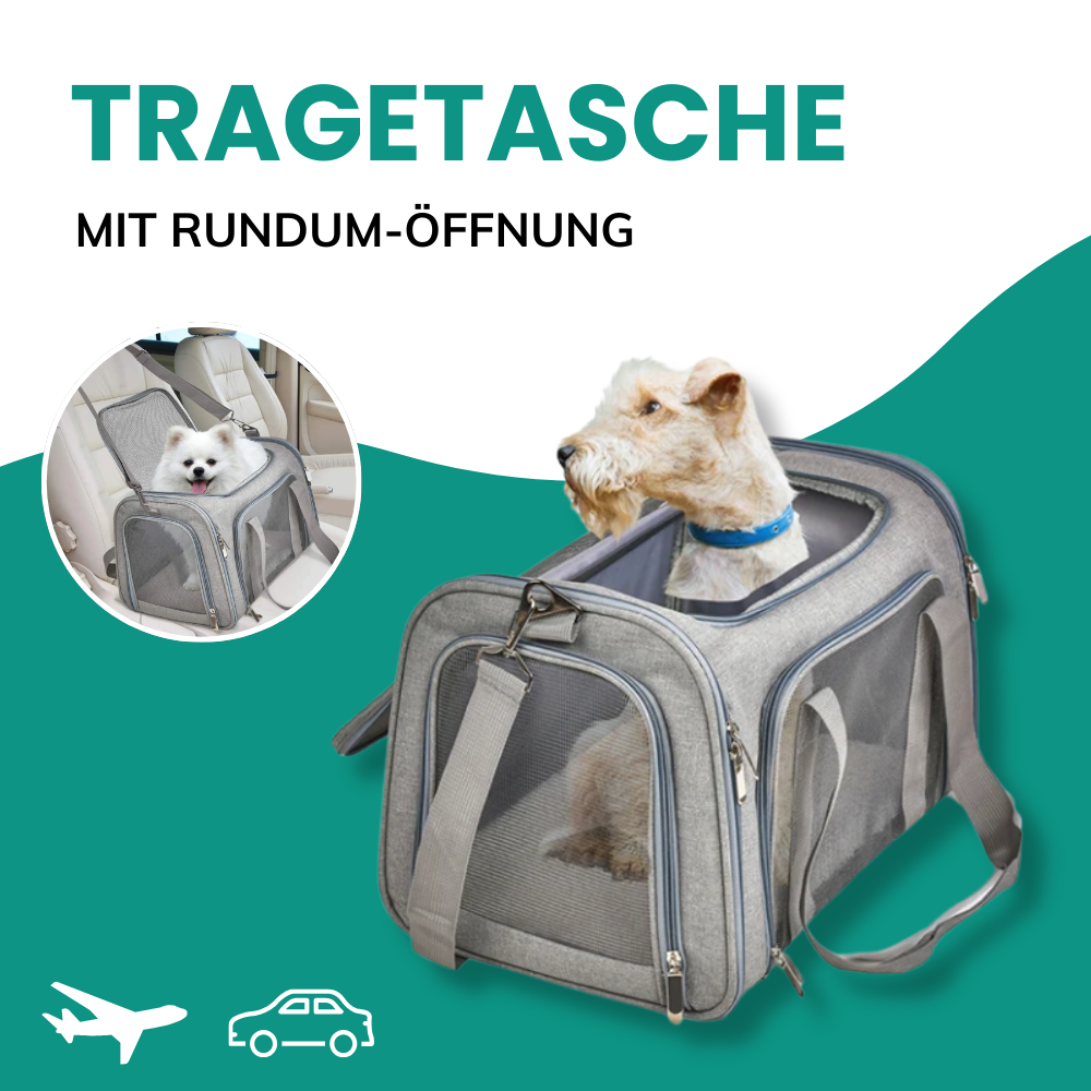 Tragetasche für Katzen & kleine Hunde – Sicher, komfortabel & flexibel unterwegs!