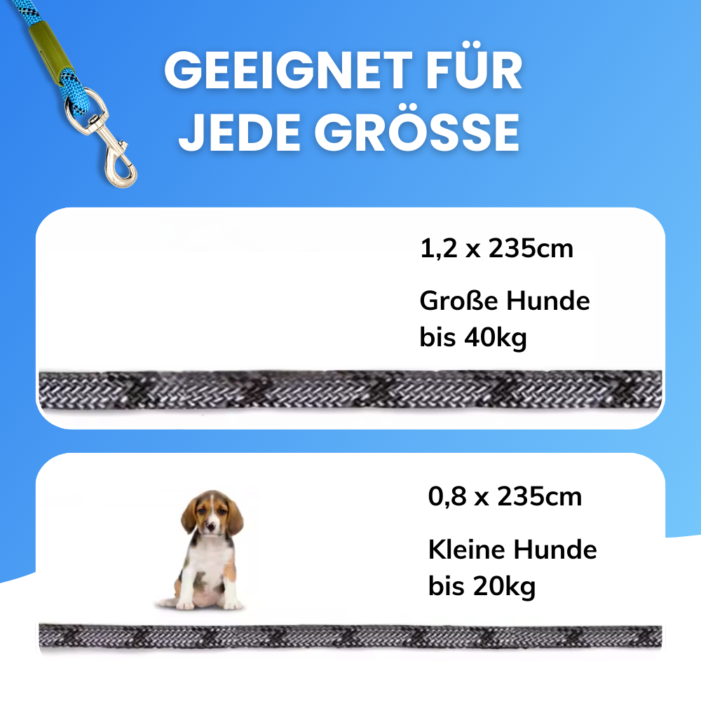Freihändige Hundeleine – Mehr Freiheit, mehr Sicherheit, mehr Komfort!