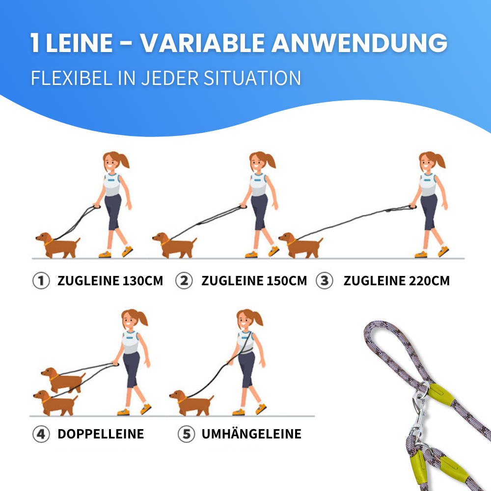 Freihändige Hundeleine – Mehr Freiheit, mehr Sicherheit, mehr Komfort!