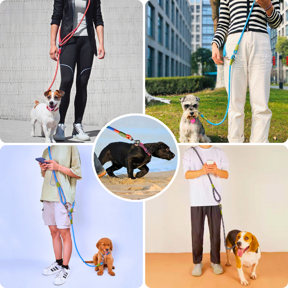 Freihändige Hundeleine – Mehr Freiheit, mehr Sicherheit, mehr Komfort!