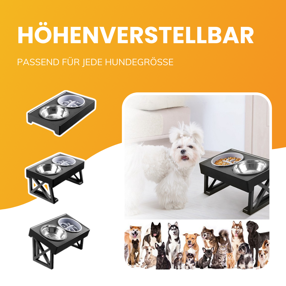 Ergonomisches Futternapfgestell – Für gesünderes Fressverhalten