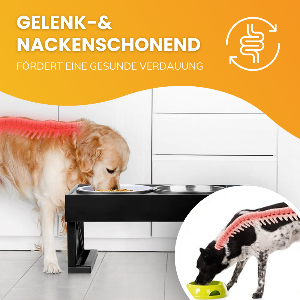 Ergonomisches Futternapfgestell – Für gesünderes Fressverhalten