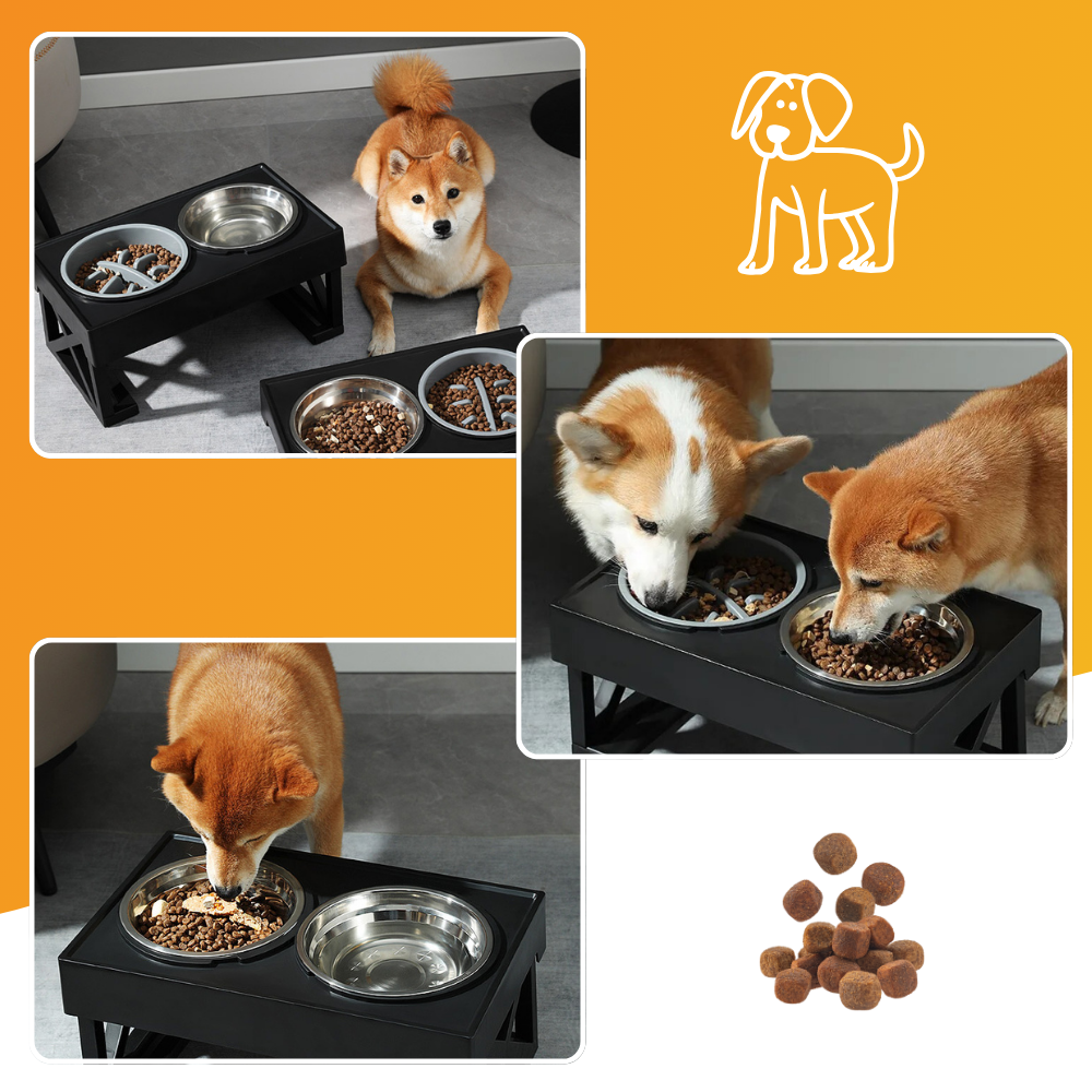 Ergonomisches Futternapfgestell – Für gesünderes Fressverhalten