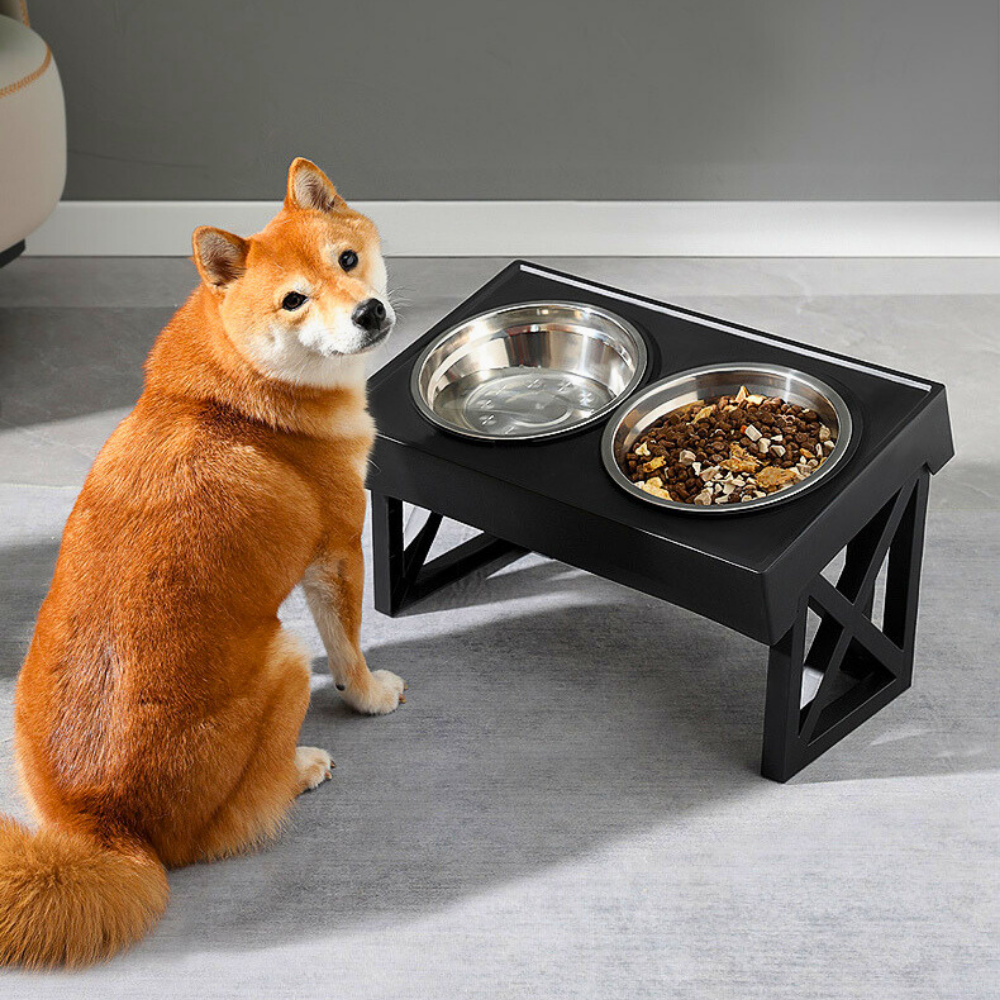 Ergonomisches Futternapfgestell – Für gesünderes Fressverhalten